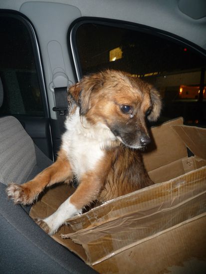 die kleine Zoe - knapp zwei Jahre alt