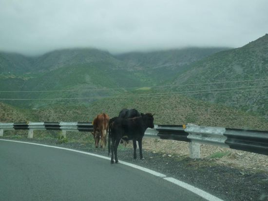 ja, man musste mit Vorsicht fahren