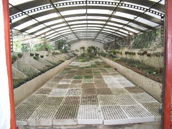 hier waren die ganz kleinen 