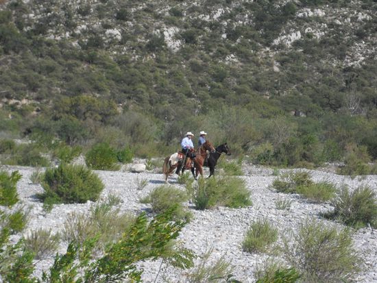 für unsere Pferdefreunde zuhause...