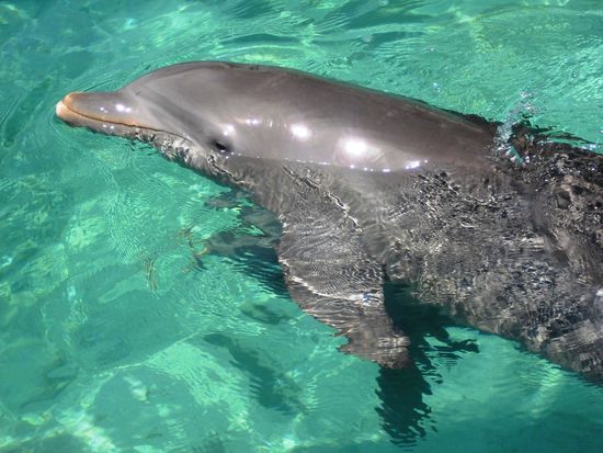 Sie waren ganz nah...