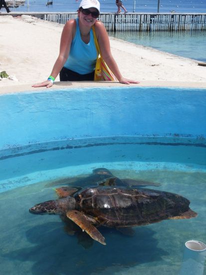 una tortuga grande y...