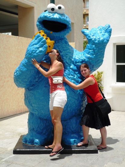 Das Krümelmonster und seine Freunde...