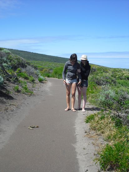Ein kleines Hindernis auf dem Weg (Constance war ziemlich verängstigt  )