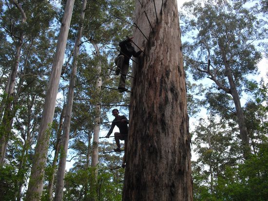 Caro und Verena in action