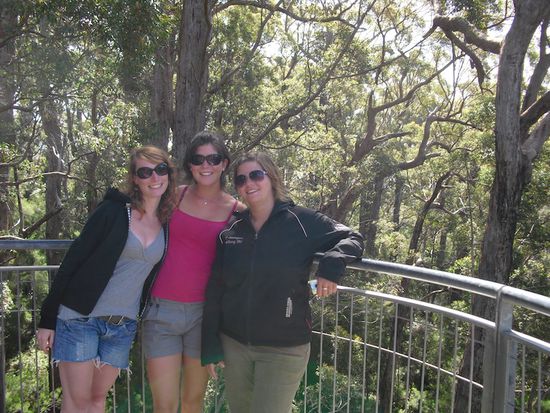 Alle drei Grazien auf einer Plattform im Tree Top Walk 