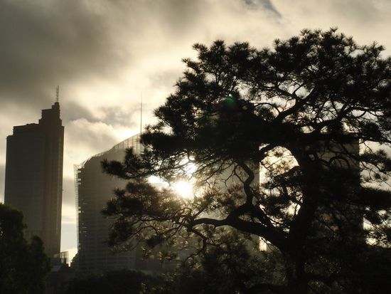 Blick vom botanischen Garten aus zum Stadtzentrum bei der Abbenddaemmerung