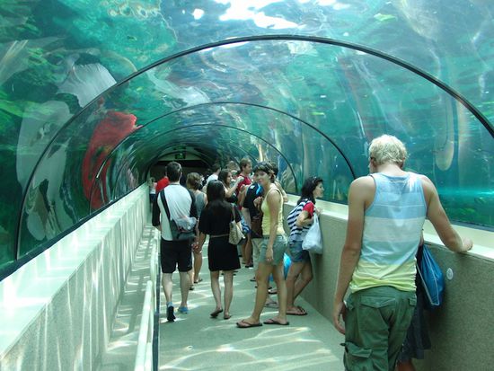 Im Sydney Aquarium