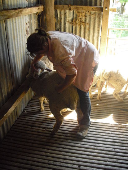 Es sieht brutaler aus als es ist, denk ich mal 