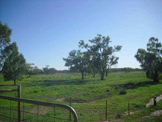 Das riesige Grundstueck von Fred und Susie