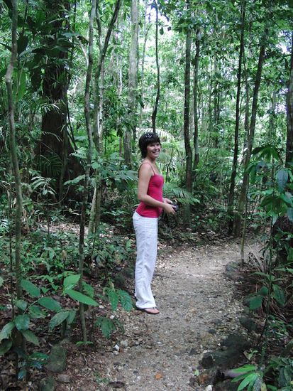 Auf dem kleinen Wanderweg durch den Regenwald