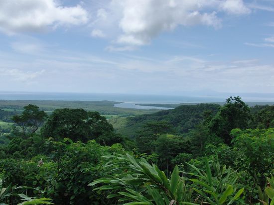 Ausblick ueber den Regenwald