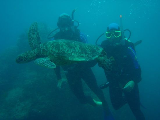 Steffen und ich direkt hinter der Schildkroete