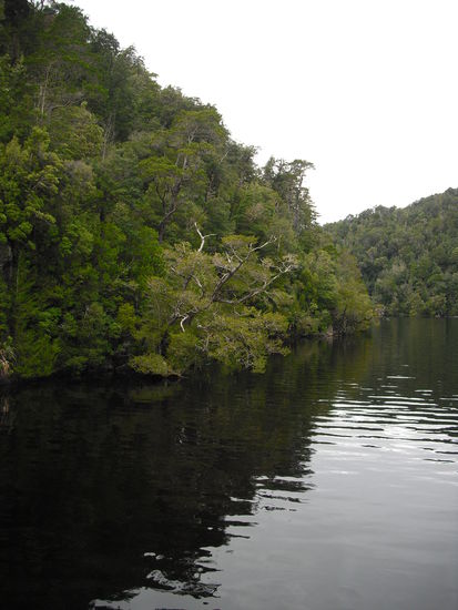 Auf dem Gordon River (die langweilige Schiffstour  )