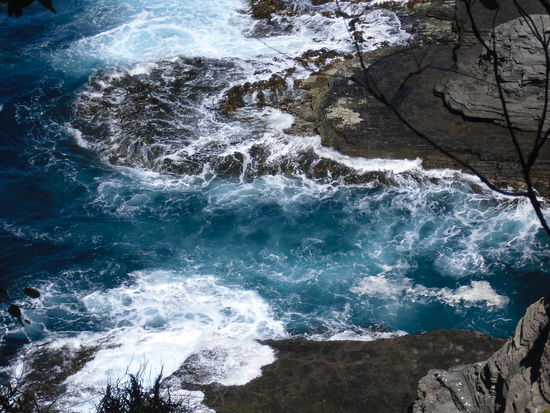 An der Kueste in Tasmanien
