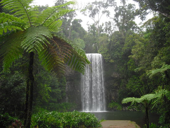 Der Millaa Millaa Wasserfall