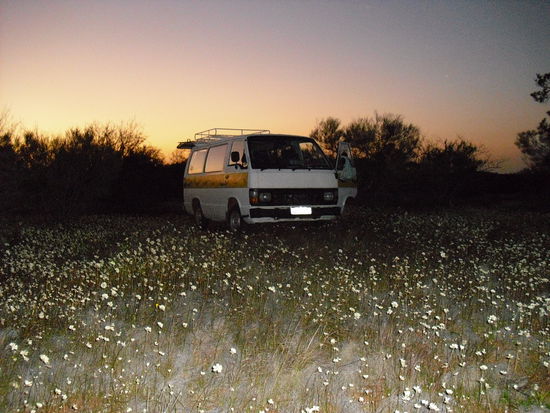Unser Schlafplatz in der Blumenwiese