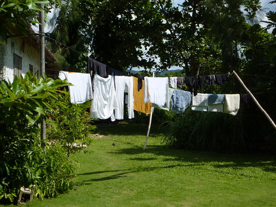 Hier meine Wäsche, per Hand gewaschen!!!!! Danach war ich am Beach und dann kam ein Sturm.....eine Unterhose von mir war am nächsten Tag an einem Busch gehangen.....peinlich....und die weiße Wäsche war voll im Dreck......ärgerlich!
