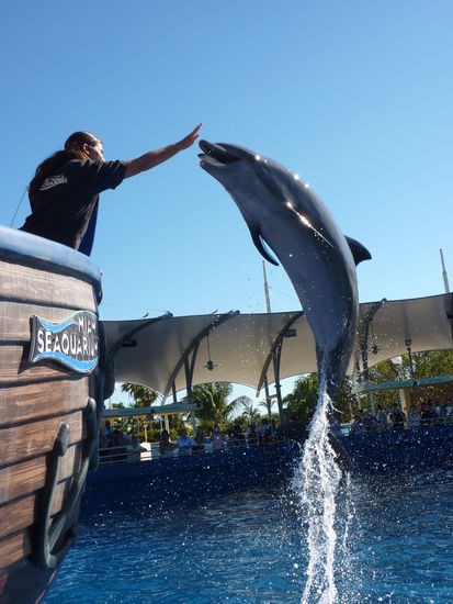 Die weiteren Stars, Delphine...das war echt ein super Treffer...oder??? Seht Euch mal das Bild genau an....Wahnsinn!!