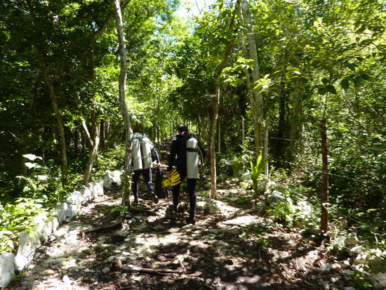 Hier auf den Weg zur Cenote 2 "Temple of Doom", wie geschrieben mitten im Urwald, Ihr koennt mir glauben, ich habe den Tauchanzug gerne an!!! (Moskitos, auch irre  )