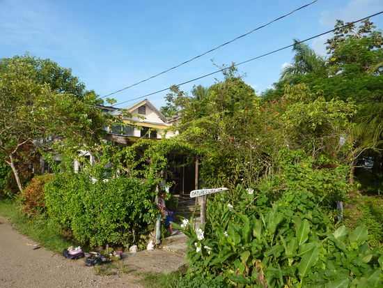 Mein Hostel, am naechsten Tag in der frueh...13 Belize Dollar Fruehstueck 8 Belize Dollar...war echt ok.....und das nach ca. 40 Stunden nonstop Reisen.....ich muss Euch schreiben ich war echt an der Grenze...koerperlich wie seelisch...aber ich habe einen Riesenschritt getan... und der musste auch sein... sonst schaffe ich es nicht ...Ihr seht es wenn Ihr Euch mal die Landkarte ansieht....vielleicht kommt Ihr auf was anderes.....es ging weiter....seht und fuehlt mit mir...