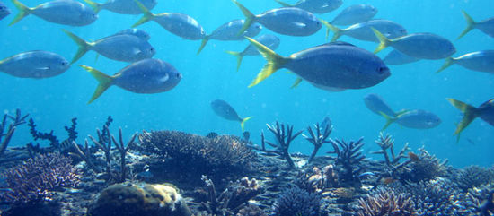 So hat das ausgesehen