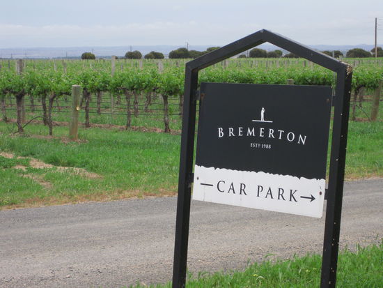 Zufahrt zum Weingut mit malerischen Weinstoecken