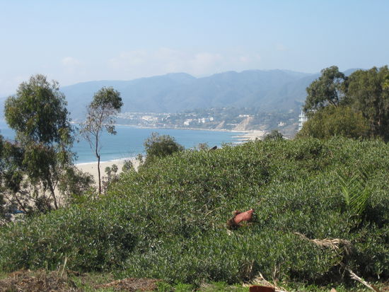 So schaut man auf den Strand in Santa Monica!