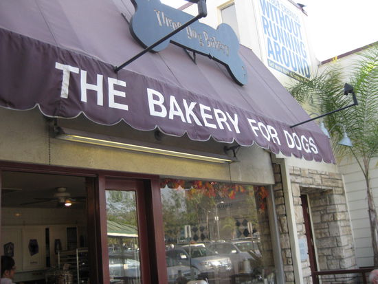 Im Land der unbegrenzten Möglichkeiten gibt es selbstverständlich auch eine Bäckerei für Hunde. Die hatte übrigens eine bessere Auswahl an Backwaren als der Supermarkt mit seinen endlosen Toast-Regalen....
