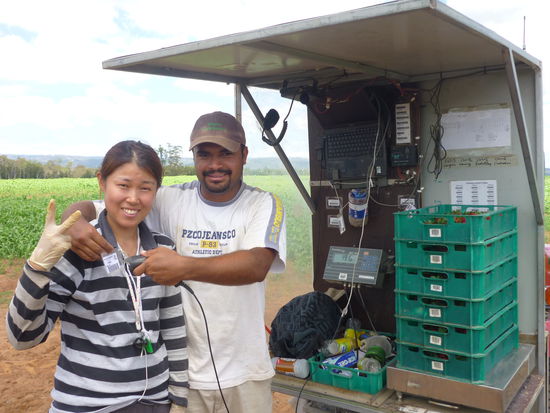 Hier werden nicht nur die Erdbeeren sondern auch die Leute eingescannt...