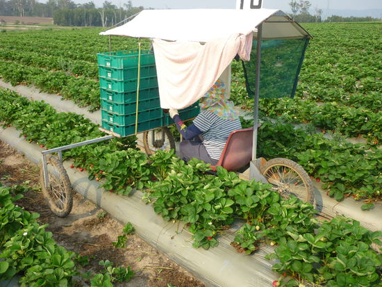 eine interessante Idee!