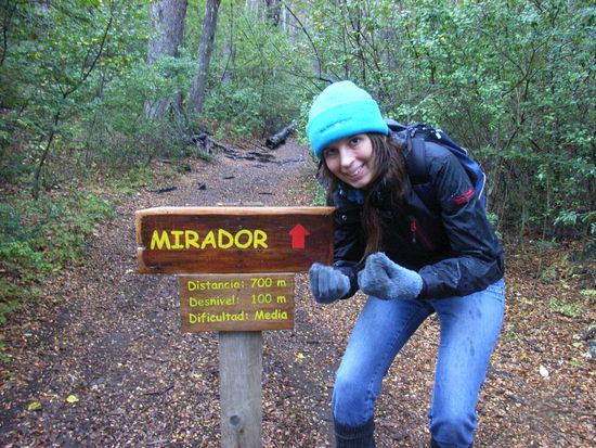 "Entfernung: 700 m, Höhenunterschied: 100 m"... von wegen!!