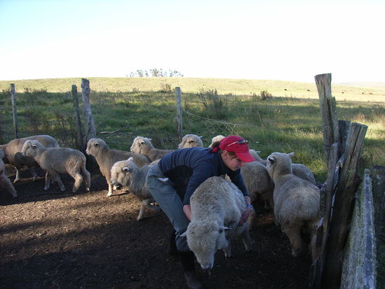 ... um sie zu niederzuwresteln...