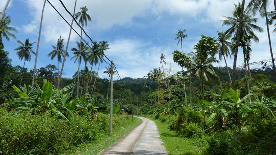 Und dann ging es auch schon wieder zurück