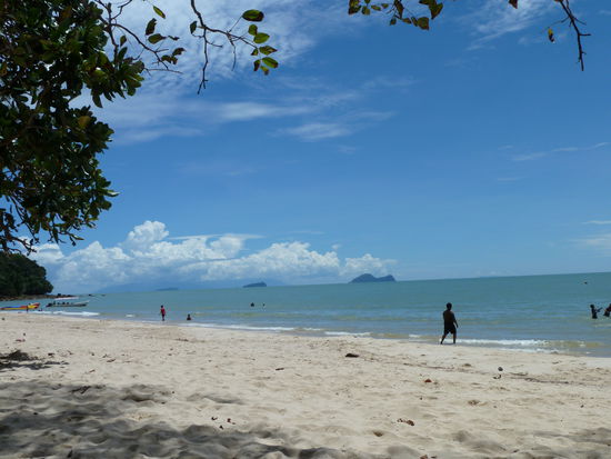 Boshiga boglangan fotosurat Boshiga boglangan fotosurat