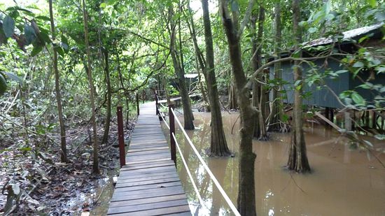 Der Weg durchs Camp - hier sieht man, wo der Name "Wetlands" herkommt. Etwa 2 Wochen bevor wir dort angekommen sind, gab es eine ziemlich schlimme Flut, von der hier noch die Überreste zu sehen sind.