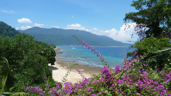 Auf dem Weg zur Monkey Bay... der Blick auf die Bucht von Air Batang.