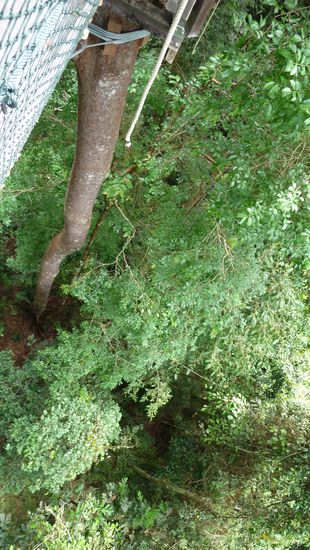 ... ganz schön weit oben 