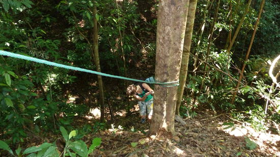 Der "Weg"... streckenweise wirklich nicht ohne.
