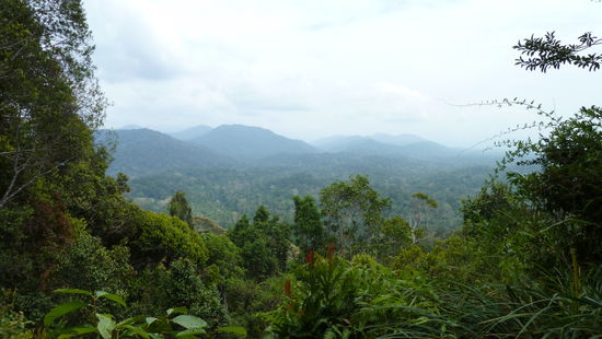 Die Aussicht vom Berg Terisek, auf den wir am ersten Tag gewandert sind.