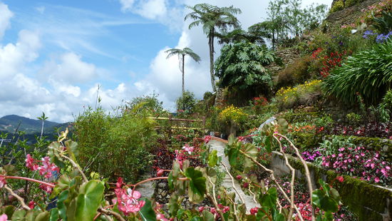 Im Rosengarten, wo es auch noch viele andere schöne Pflanzen gab.