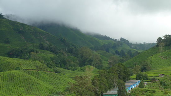 Und da quälen sich die Wolken über den Berg... bald regnet's wieder.