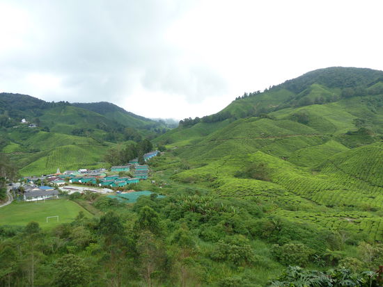 Das Dorf der Arbeiter von der Teeplantage. Hier arbeiten wegen der geringen Löhne überwiegend Leute aus Indonesien und Bangladesh. Im Dorf gibt es neben den Wohnhäusern auch eine Kirche, einen Tempel, eine Moschee, eine Schule und ein Krankenhaus (alles kostenlos für die Arbeiter, wurde mir erzählt).