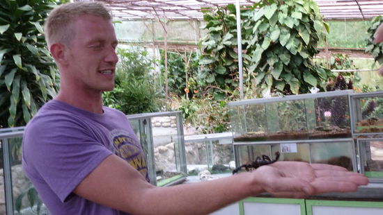 Im Butterfly-Park gabs auch Skorpione. Ich hab Thomas mal lieber vorgeschickt, der auch schon mal entspannter geguckt hat 