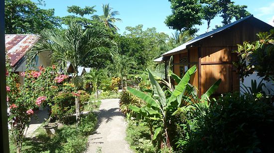 Garten von Daniel's Resort.