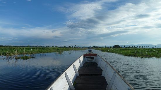 Auf dem See - wie man sieht, ist er ordentlich zugewachsen.