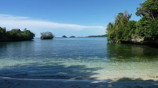 Poyalisa