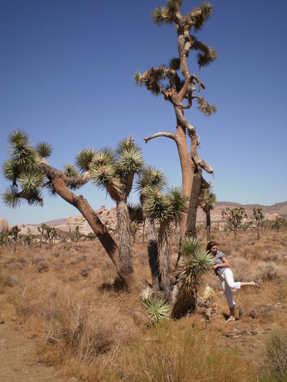 in die ganz kleinen kann man auch reintreten, wenn man in Flipflops unterwegs ist 