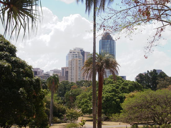 die skyline vom botanischen Garten aus gesehn.