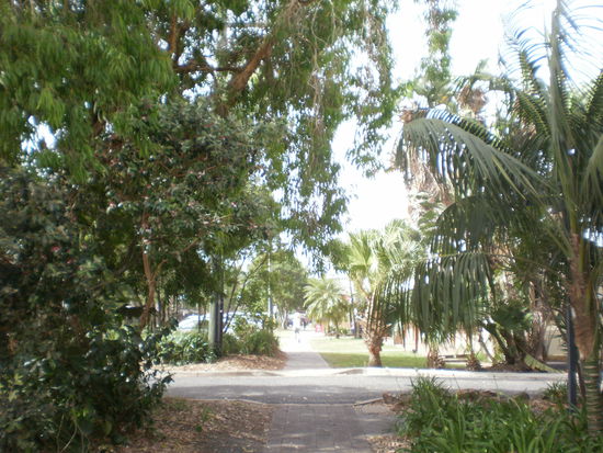 ein Weg vom Hostel in die Stadt....mehr Bilder gibt's nicht.